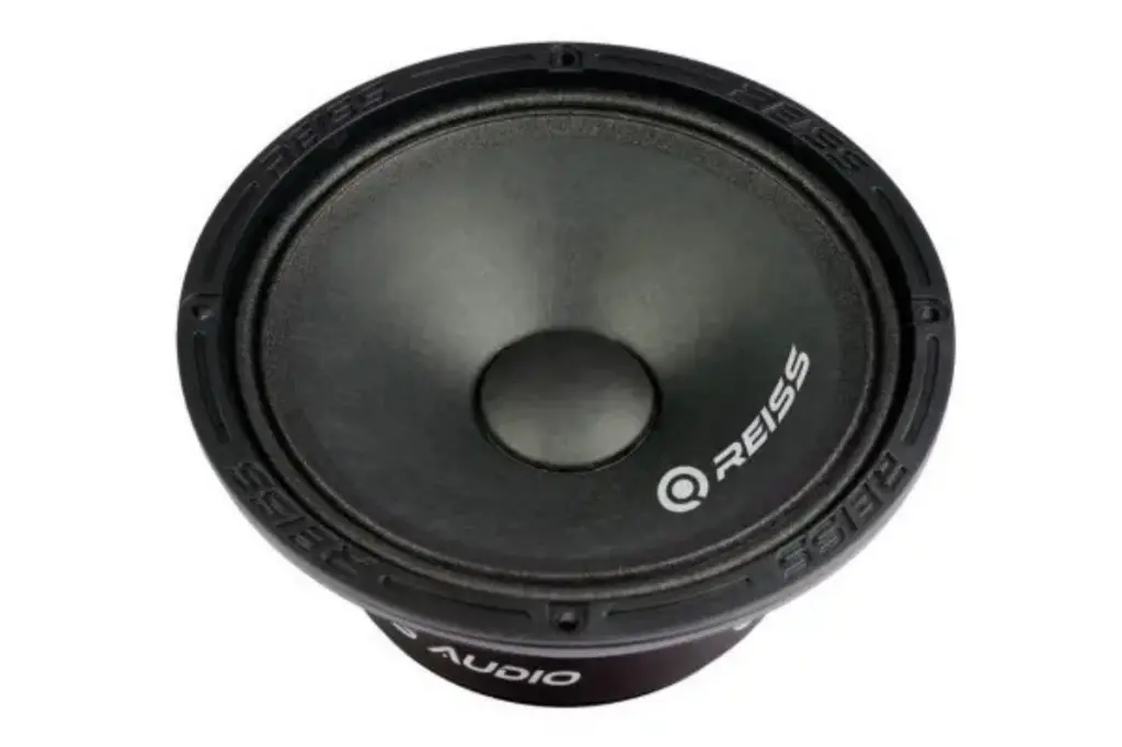 reiss-rs-m65ex-paire-de-165-cm-150-wrms-95-db-4-ohm4.webp