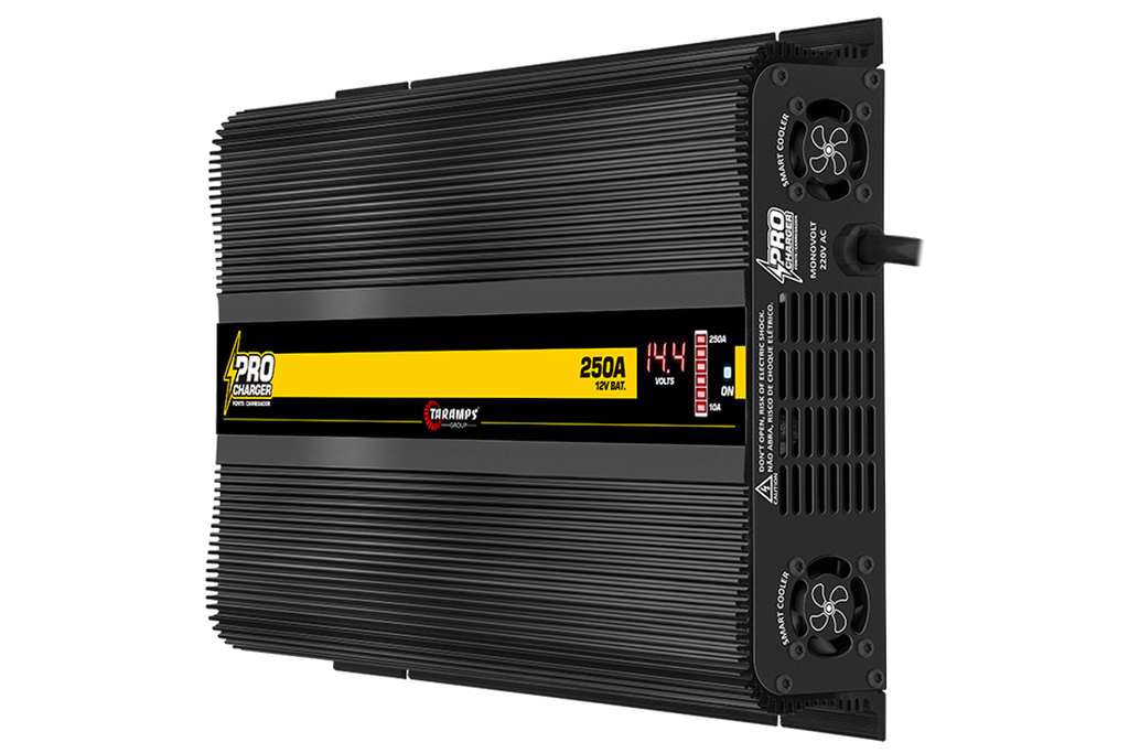 CHARGEUR PROFESSIONNEL 250A